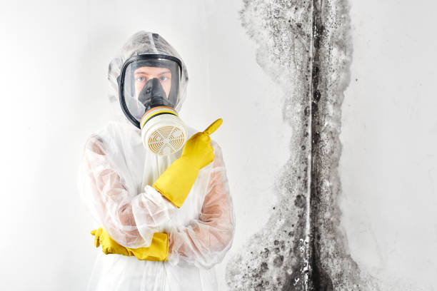 Best Emergency Mold Remediation  in Fort Washington, MD