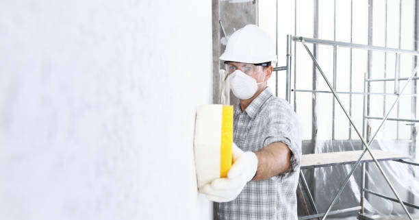 Best Basement Mold Removal  in Fort Washington, MD