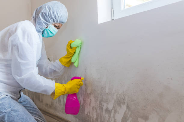 Best Asbestos and Lead Testing During Mold Inspection  in Fort Washington, MD